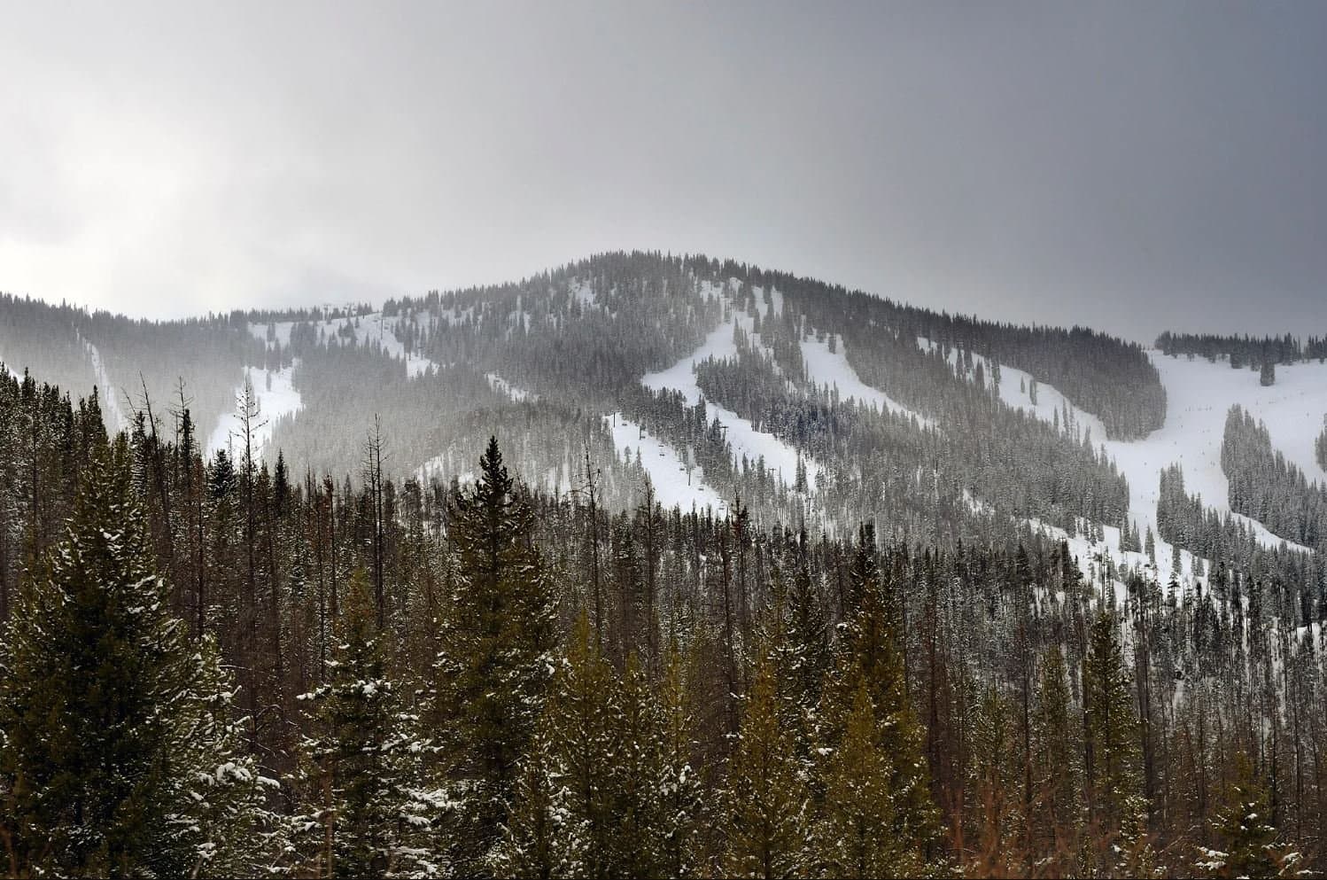 Snow-covered ski runs cut through dark forest under a low grey storm sky